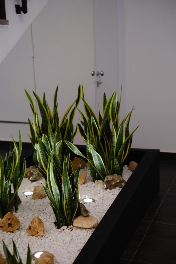 Domea Superior Rooms Bed And Breakfast Reggio di Calabria Exterior photo